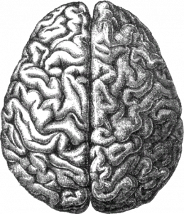 The Fallable Human Brain